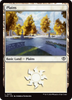 Plains (#273)
