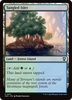 Tangled Islet