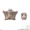 Shokugan: Mofu Mofu Tenori Friends 2 - Cute & Furry Display of 12