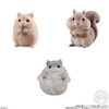 Shokugan: Mofu Mofu Tenori Friends 2 - Cute & Furry Display of 12