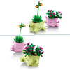Botanicals Rocking Plants 11506