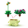 Botanicals Rocking Plants 11506