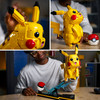 Pokemon Pikachu and Poke Ball 72152