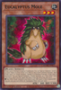 MZMU-EN021 Eucalyptus Mole