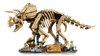 Jurassic World Dinosaur Fossils: Triceratops 77985