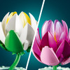 Botanicals Water Lilies Flower Set 11511