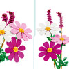 Botanicals Cosmos Flowers Set 11514