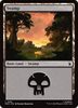 Swamp (#291)