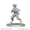 D&D Nolzur's Marvelous Miniatures - Satyr & Dryad (90859)