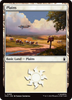 Plains (#288) (Foil)