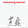 D&D Nolzur's Marvelous Miniatures - Tiefling Bard & Dwarf Cleric