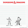 D&D Nolzur's Marvelous Miniatures - Cultist of Bane & Dwarf Zhentilar Soldier