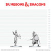 D&D Nolzur's Marvelous Miniatures - Drow Elite Warrior & Drow Priestess of Lolth