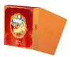 (SIMPLIFIED CHINESE) Pokemon Terastal Gathering Binder Gift Set - Flareon