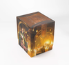 MTG The Hobbit Squire PLUS 100+ XL - The Queen of Dale