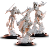 Warmachine: Menoth Covenant of the Flame – Heralds of Perdition