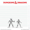 D&D Nolzur's Marvelous Miniatures - Bandit & Pirate