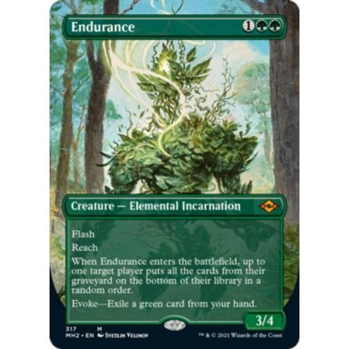 Endurance (Borderless Art)