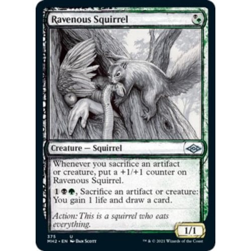 Ravenous Squirrel (Showcase Sketch Frame)