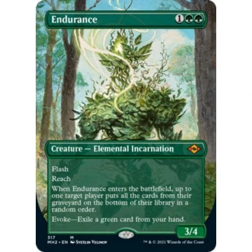 Endurance (Borderless Art) (foil)