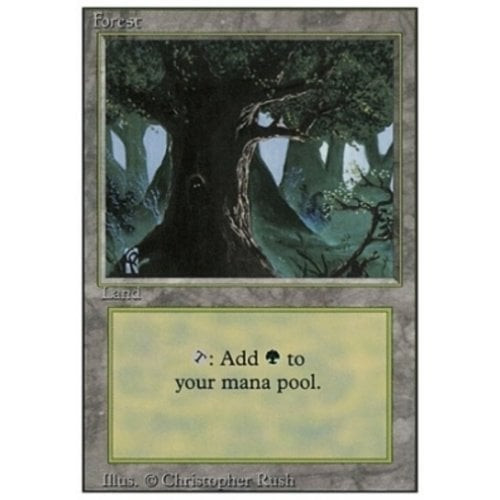 Forest (#3)