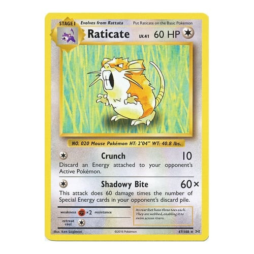 XY Evolutions 67/108 Raticate
