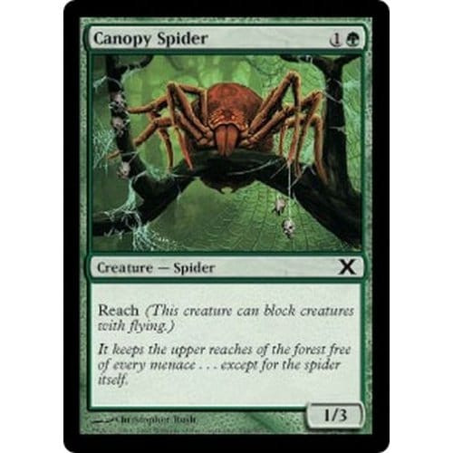Canopy Spider (foil)
