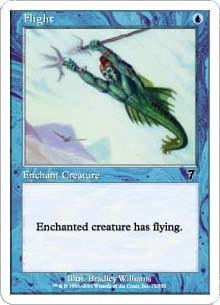 Flight (foil)