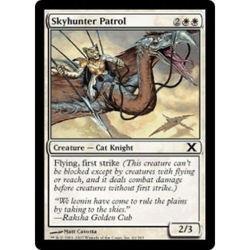 Skyhunter Patrol