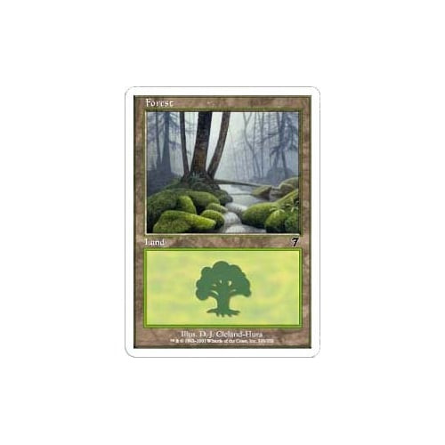 Forest (#328)