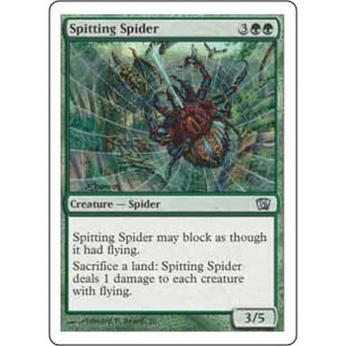 Spitting Spider