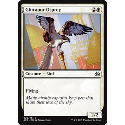 Ghirapur Osprey