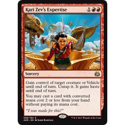 Kari Zev's Expertise