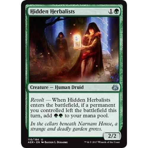Hidden Herbalists (foil)