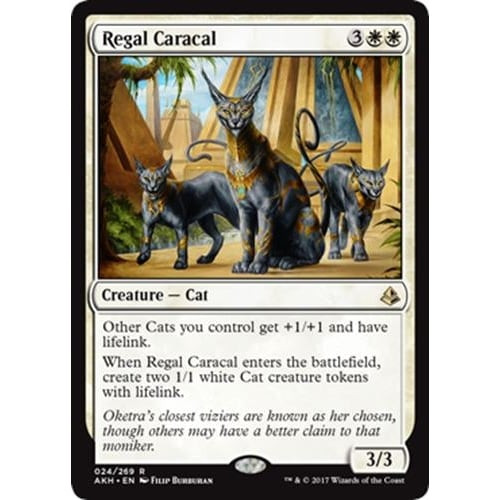 Regal Caracal