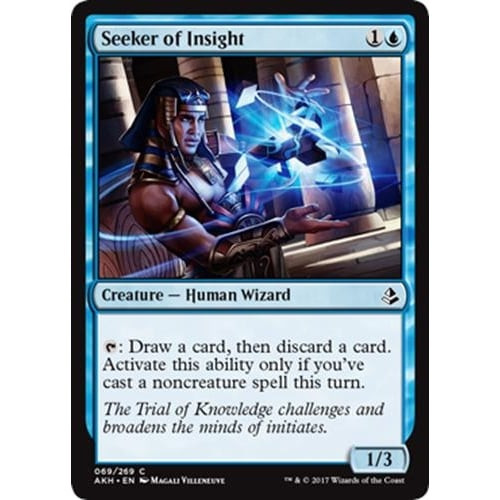 Seeker of Insight