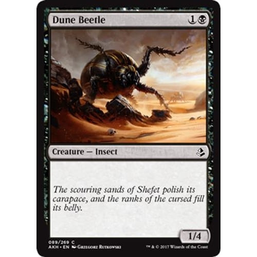 Dune Beetle