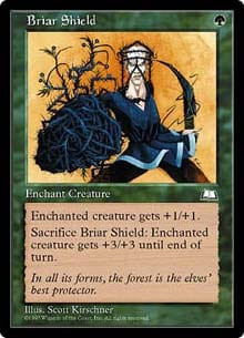 Briar Shield
