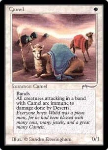 Camel