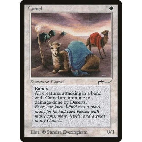 Camel