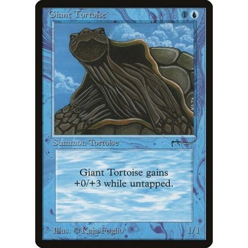 Giant Tortoise (dark)
