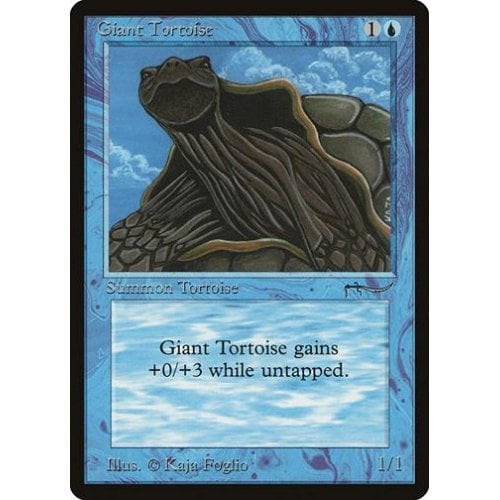 Giant Tortoise (light)
