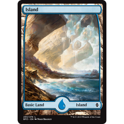 Island (#255) (Extended Art) (foil)
