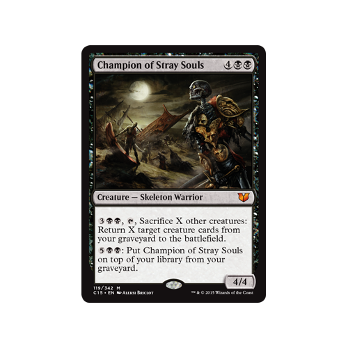 Champion of Stray Souls