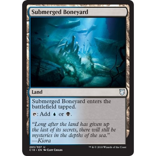 Submerged Boneyard