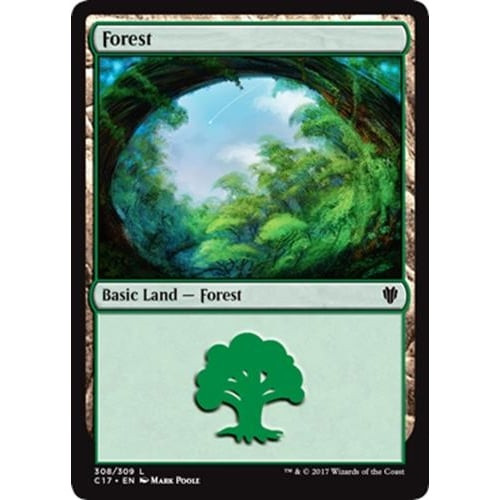 Forest (#308)