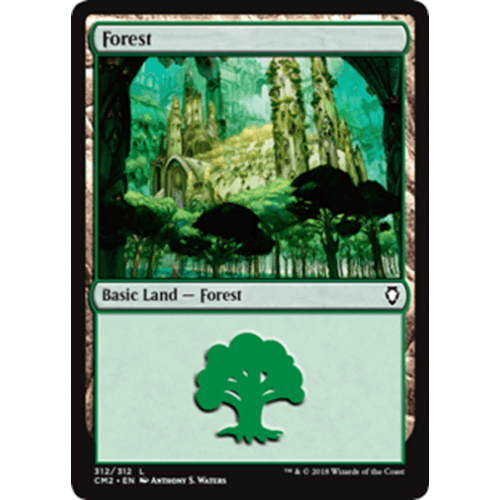 Forest (#312)