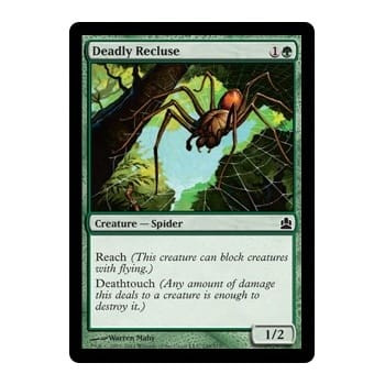 Deadly Recluse