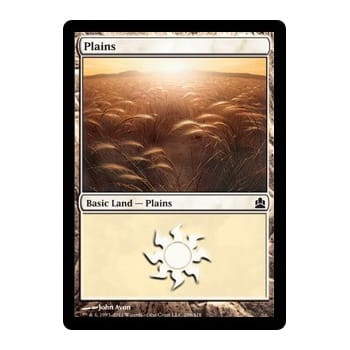 Plains (#299)