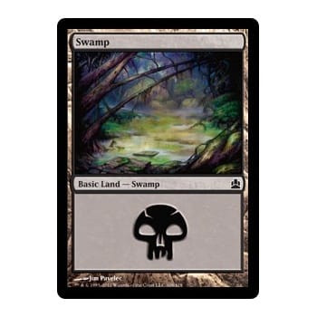 Swamp (#309)